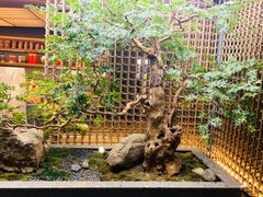 -船歌·鱼水饺青岛菜(闽江二路店)
