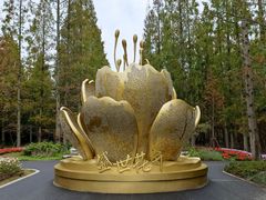 -东平国家森林公园
