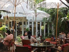 -Fern Forest Cafe