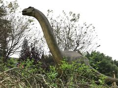 -自贡恐龙博物馆