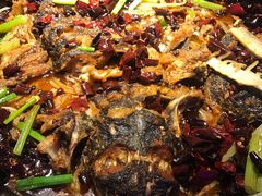 -老板恋上鱼(恒隆广场店)