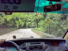 -野象谷景区