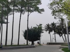 -深圳湾公园(南山区)