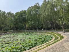 -丰台科技园生态主题公园