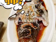 -新希望诺富特酒店-青岛湾中餐厅