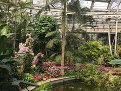 -北京植物园-展览温室