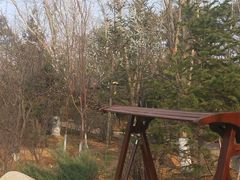 -东方华地城湿地温泉度假区