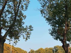 -嘉北郊野公园