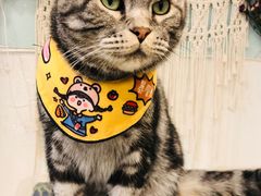 -平行世界·猫咖(首经贸店)