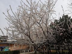 -方庄体育公园