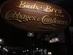 -卷心菜和避孕套餐厅(Pattaya)