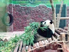 -黔灵山公园-南门售票处