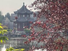 -莲池书院博物馆