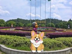 -南京银杏湖乐园