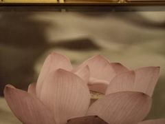 -嘉和一品粥(山水店)