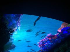 -广东省拱北口岸中国旅行社(华宾营业部)