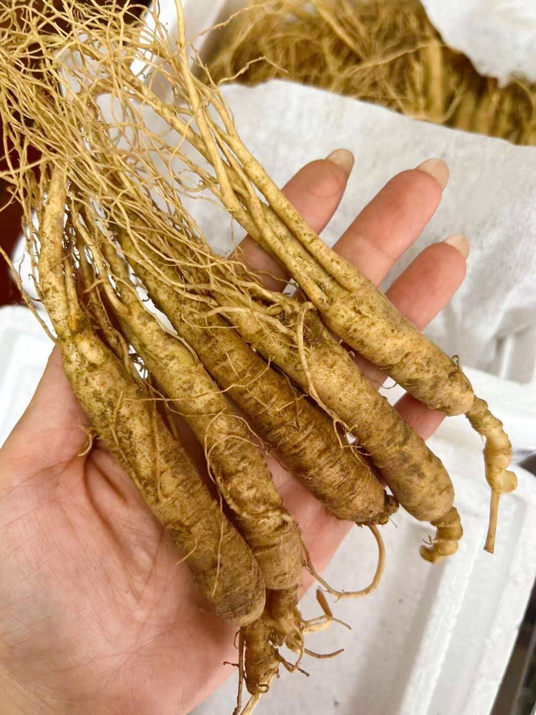 请问大家知不知道这个是怎么吃的?