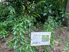 -广州神农草堂中医药博物馆