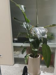 -RUMI日弥美容会所