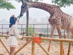 -灵玲国际马戏城