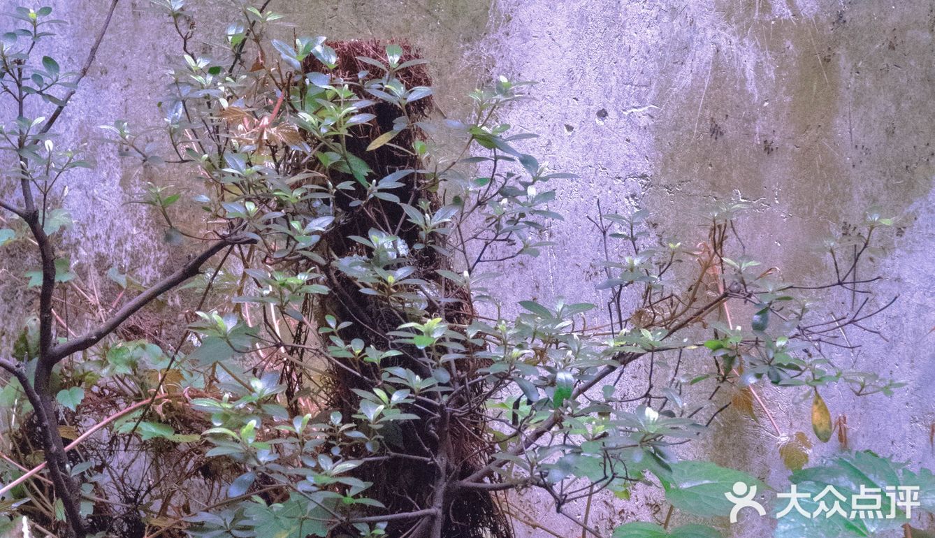 上海手工艺展示馆🔥朱家角古镇馆🌟非遗传承