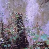 上海手工艺展示馆🔥朱家角古镇馆🌟非遗传承