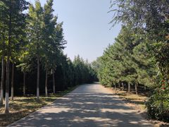 -永定河休闲森林公园