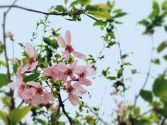 -狐尾山公园