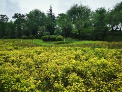 -洨河生态公园