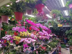 -三旗百汇商品城