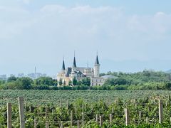 -北京张裕爱斐堡酒庄