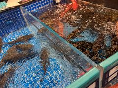 -东海怡品海鲜豆捞(星街坊店)