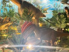 -陕西自然博物馆