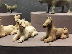 -广西壮族自治区博物馆