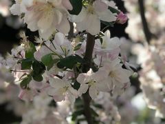 -济南国际园博园