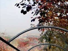 -博山九龙峪风景区
