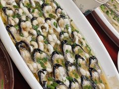 -呼吸森林·生态农庄农家乐私房菜