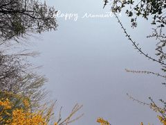 -朝阳公园
