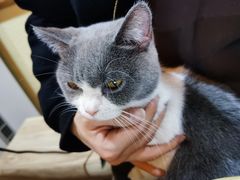 -福尔喵斯探案馆实景搜证·沉浸式剧本杀