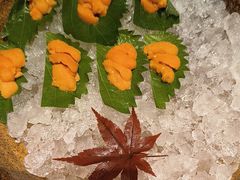 -月龍吟(朝龙汇店)
