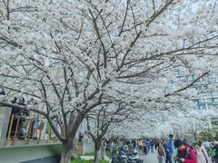 -同济大学四平路校区游泳馆