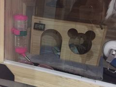 picture-吃饼人西餐(南开店)