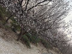 -南翠屏公园