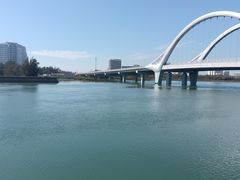 -北海金海湾红树林生态旅游区