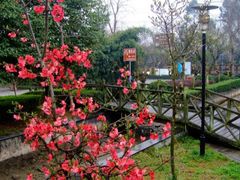 -三圣花乡旅游区