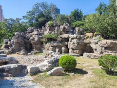 -莲花池公园