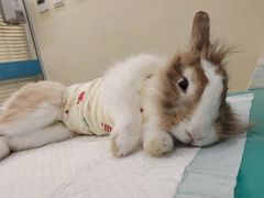 -美迦爱-牙专科·兔科·骨科诊疗中心(北苑店)