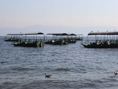 -抚仙湖禄充风景区