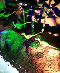 -恐龙探索乐园(磁器口店)