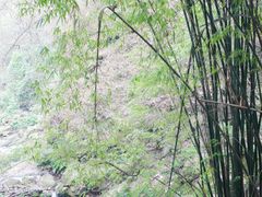 -涂山寺素食餐厅